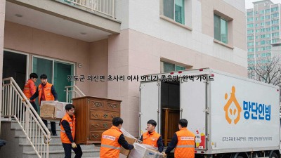 진도군 의신면 초사리 이사, 어디가 좋을까? 🤔 완벽 가이드!